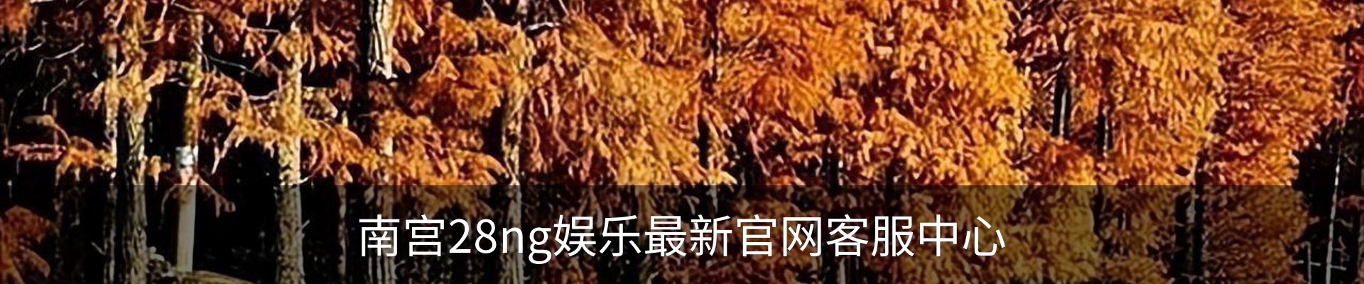 南宫28ng娱乐最新官网客服中心