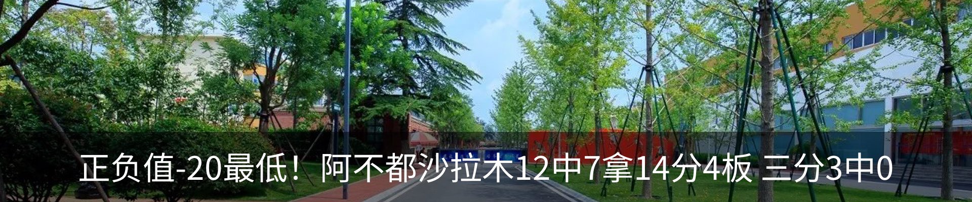 新闻动态